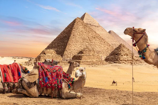 Cairo Egypt | Ile Tours