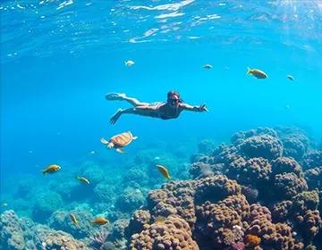 Snorkeler exploring Galápagos marine life in calm, transparent waters | Ile Tours