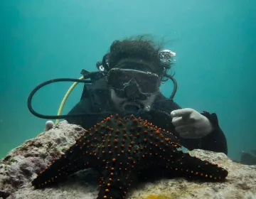 Private yacht guest snorkeling in the Galapagos Marine Reserve observing endemic marine species | Ile Tours