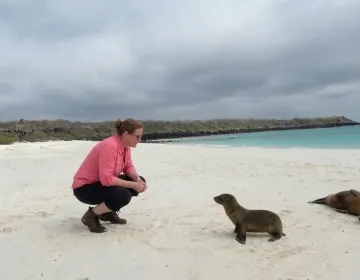 US traveler observing sea lions on a secluded Galapagos beach accessed via private yacht charter | Ile Tours