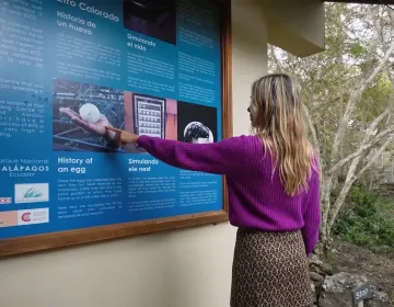 Person on cliff overlooking secluded beach and turquoise water | Ile Tours
