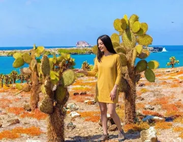 Person touching large cactus on rocky shore with turquoise water and anchored boat in Galapagos | Ile Tours
