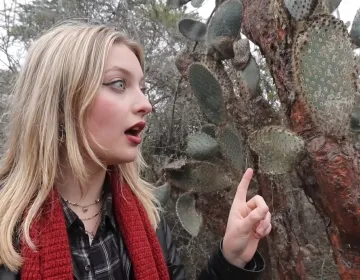 Visitor observing giant cactus in Galapagos arid volcanic environment | Ile Tours