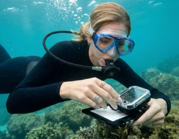 Scuba diver swimming near coral reef in Galapagos clear waters | Ile Tours