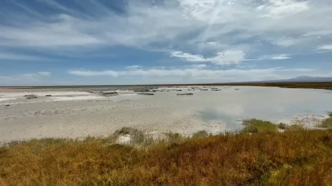 Discover Stunning Landscapes | Ile Tours A tranquil landscape featuring shallow waters and grassy areas under a blue sky with wispy clouds | Ile Tours