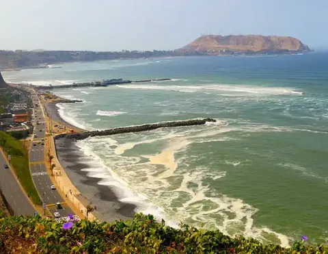 Carretera costera y playa se encuentran con olas rompientes y turbinas eólicas en la cima de una colina, con zona urbana y flores moradas en primer plano | Ile Tours