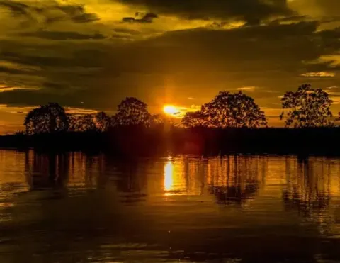 Una impresionante puesta de sol sobre el río Amazonas, creando reflejos dorados en las aguas tranquilas y silueteando los árboles a lo largo de la orilla | Ile Tours
