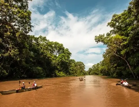 Un río pintoresco rodeado de vegetación exuberante, con varios canoístas remando por las aguas marrones bajo un cielo azul brillante con nubes dispersas. | Aventuras en Ríos