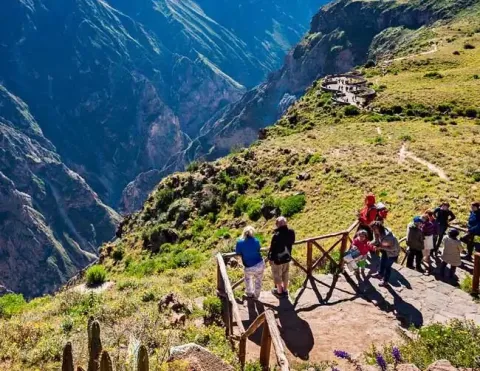 Andean condor flying over the Colca Canyon with tourists watching | Ile Tours