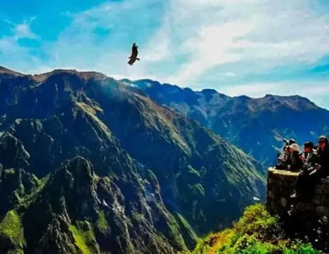 Woman posing next to a sillar lion sculpture | Ile Tours