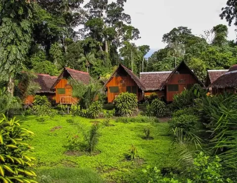 A scenic view of wooden cabins nestled in lush greenery, surrounded by tropical plants and tall trees in a serene jungle environment | Ile Tours