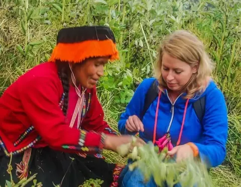 A vibrant display of diverse Peruvian ingredients, including colorful varieties of corn, potatoes, and chili peppers, laid out for a culinary tour in Peru | Ile Tours