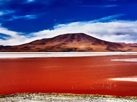 Uma vista deslumbrante das águas vermelhas da Laguna Colorada, com as majestosas montanhas dos Andes ao fundo e flamingos no primeiro plano, mostrando a beleza única do altiplano boliviano | Ile Tours