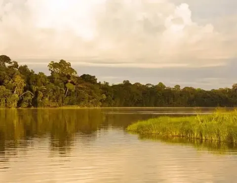Una vista serena de un río rodeado de vegetación exuberante, con una suave luz dorada reflejándose en el agua tranquila | Ile Tours