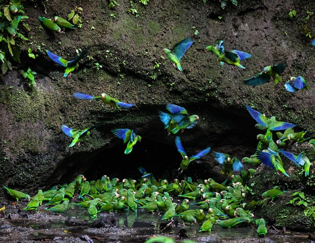 Amazon River Cruise Luxury Ecuador Iletours