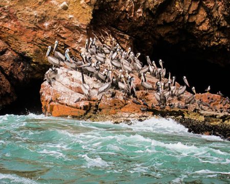 Paracas National Reserve (Ica, Peru)