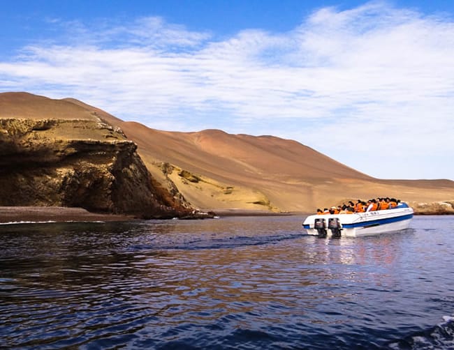 Ballestas Islands Boat Tour Peru