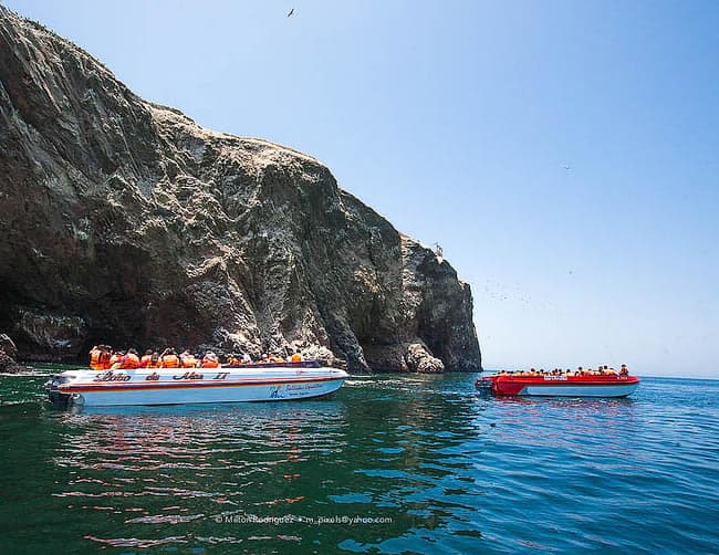 Ballestas Islands Boat Trip