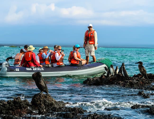 Family Friendly Galapagos Cruises Iletours