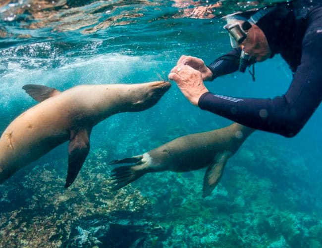 Tours Islas Galápagos & Machu Picchu