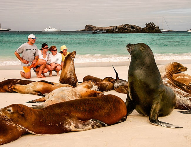 Galapagos Family Adventure Tours Iletours