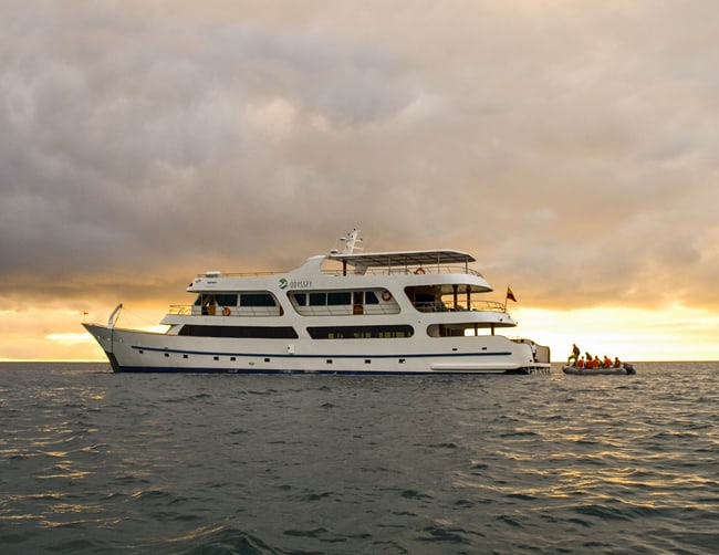 Galapagos Family Vacation Packages Iletours