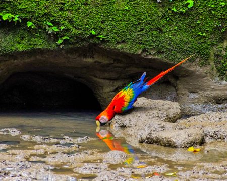 First-class River Cruiser Ecuador 8 Days