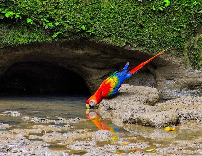 Limoncocha Biological Reserve Iletours