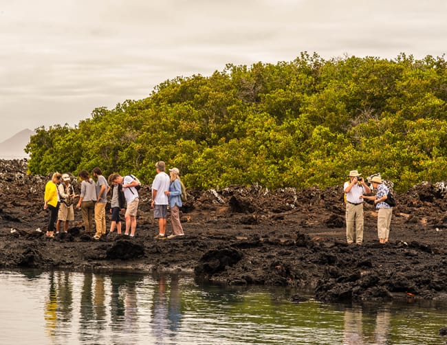 Luxury Yachts Galapagos Islands Iletours