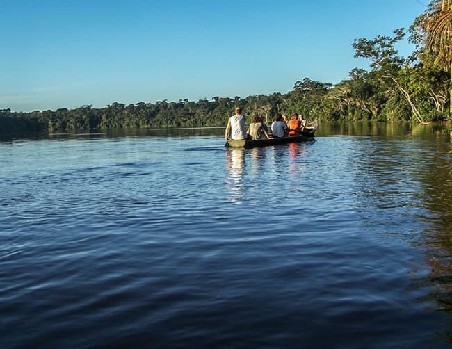 Manu Birding Tours Peru | ILE Tours