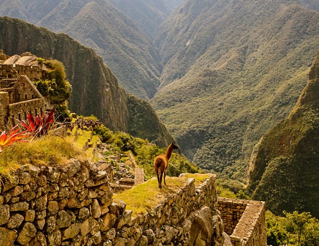 New Year in Machu Picchu Iletours