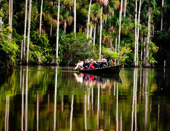 Papagayo Tropical Bird Watching