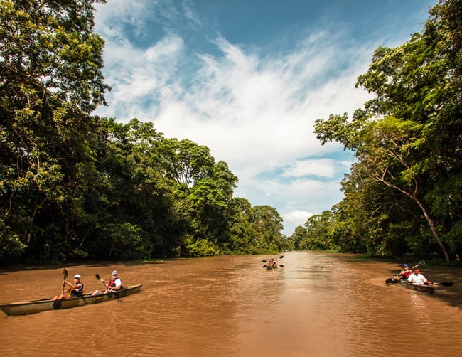 Rainforest Ecotourism Holidays Iletours