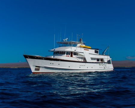 Last Minute, Cachalote Yacht, Galapagos Cruises