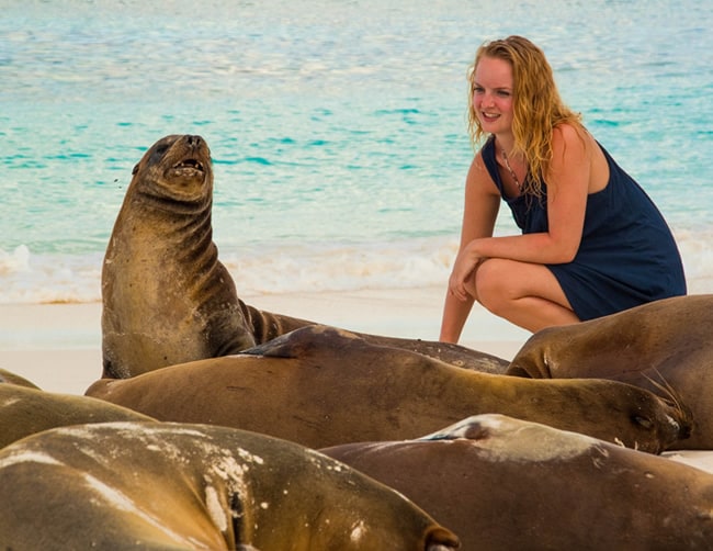 Galapagos Islands Diving Holidays Iletours