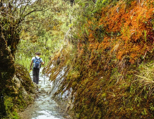 Hiking Peru Salkantay Iletours