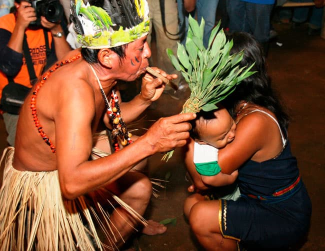 medicina ancestral amazonica