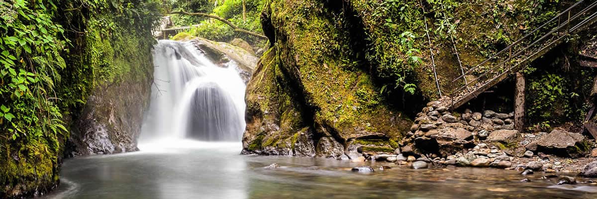 Mindo Ecological Reserve Iletours