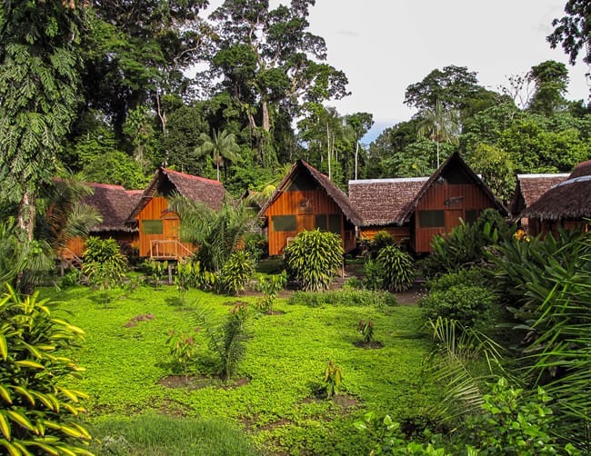 Tambo Jungle Lodge Lago Sandoval | ILE Tours