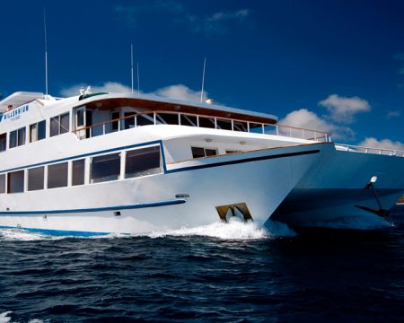 Last Minute Millennium Yacht First Class Galapagos Cruise