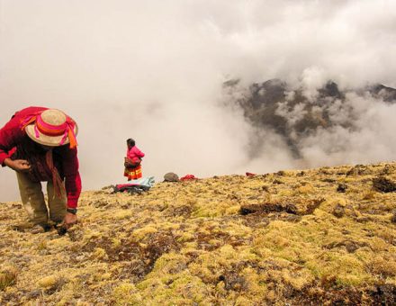 Visit  the Weaving Community of Huilloc Peru